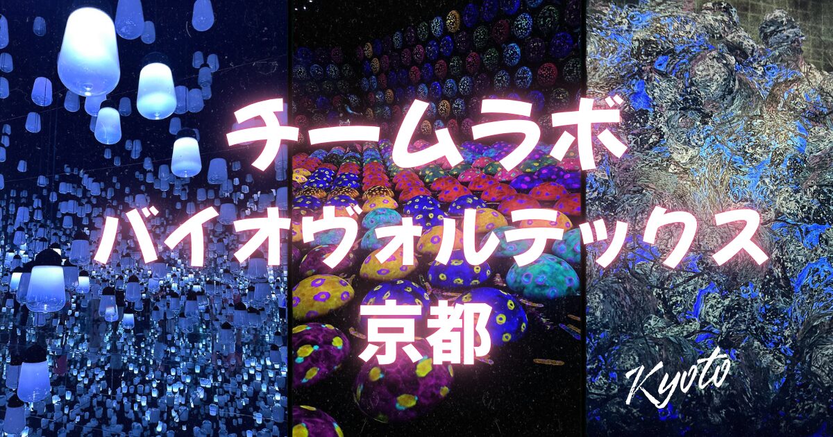 チームラボ バイオヴォルテックス 京都