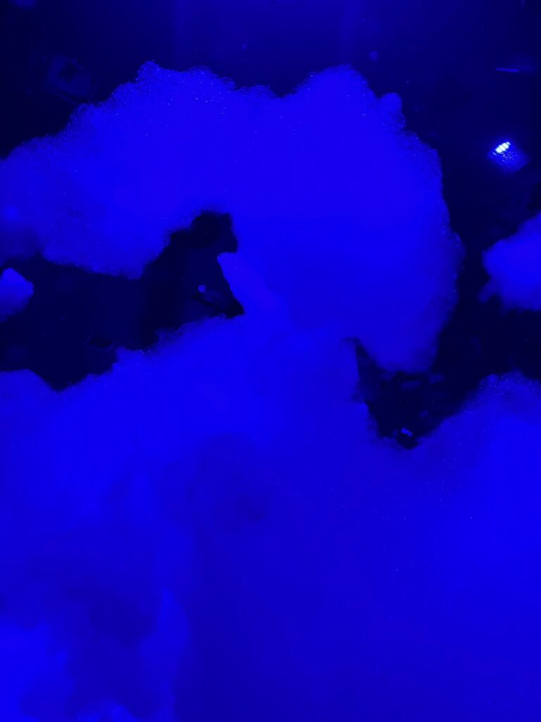 チームラボ バイオヴォルテックス 京都